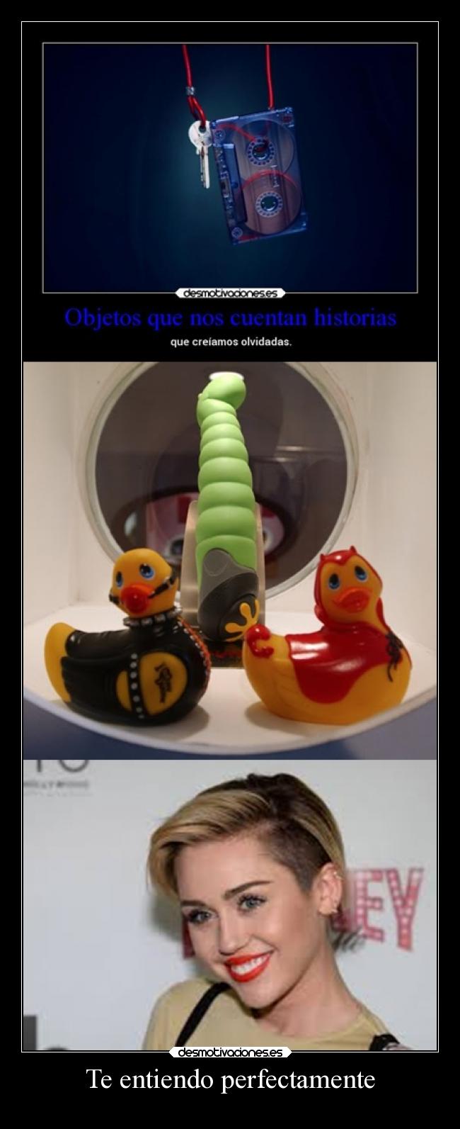 Te entiendo perfectamente - 