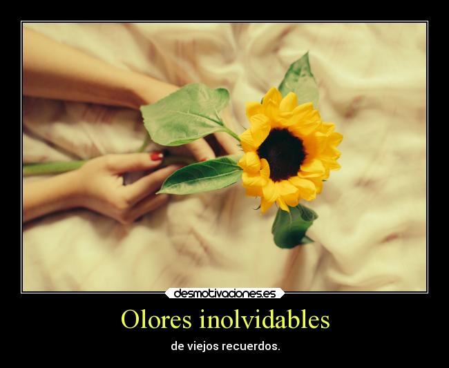 Olores inolvidables - de viejos recuerdos.