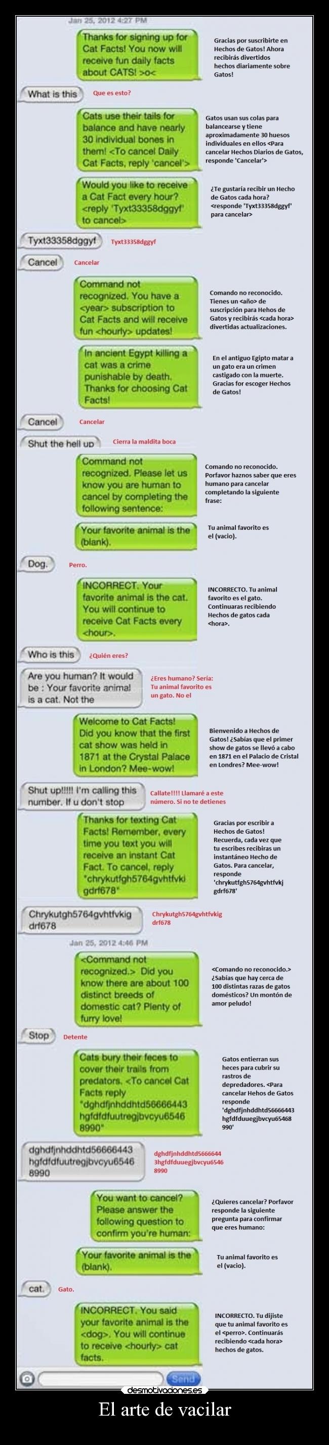 carteles arte sexo humor eften mouser watsap esos gringos perrosmolanmasquegatos desmotivaciones