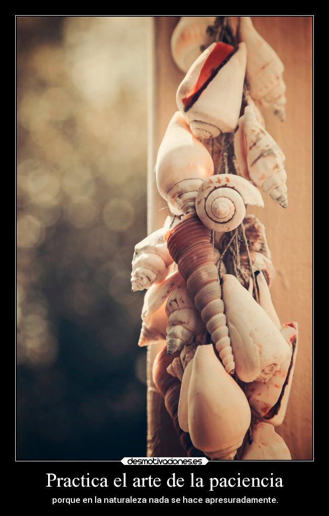 Practica el arte de la paciencia - porque en la naturaleza nada se hace apresuradamente.