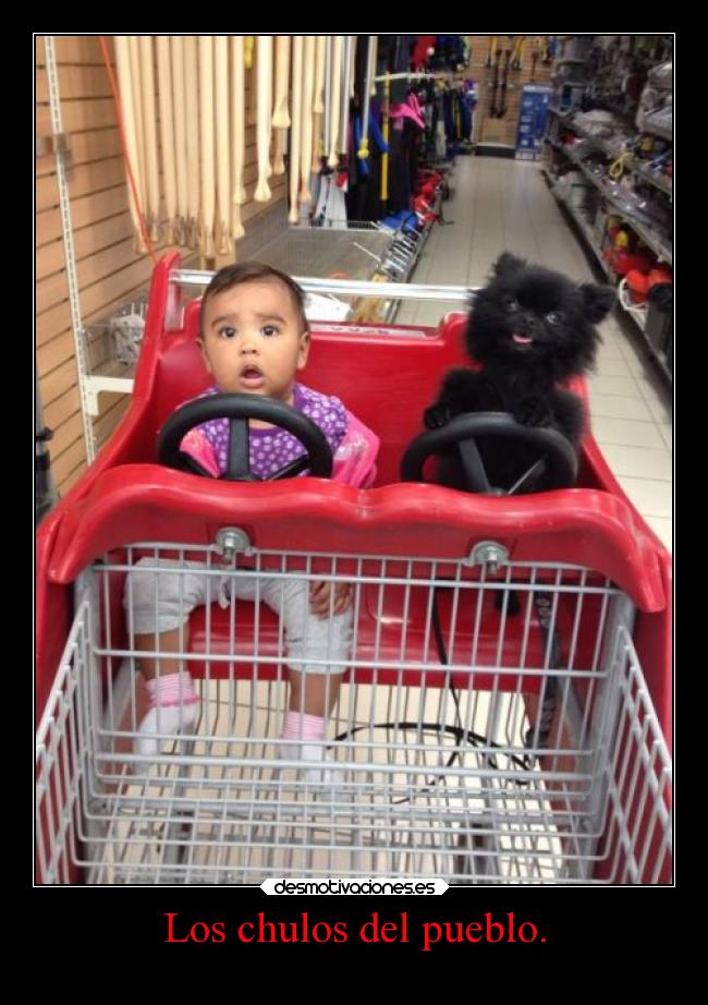 carteles ayuda cartelmierda desmotivaciones