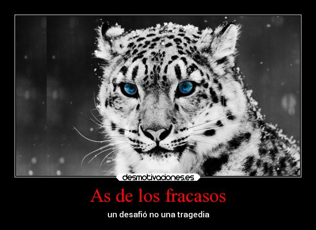 As de los fracasos -