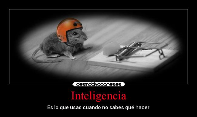 Inteligencia - Es lo que usas cuando no sabes qué hacer.
