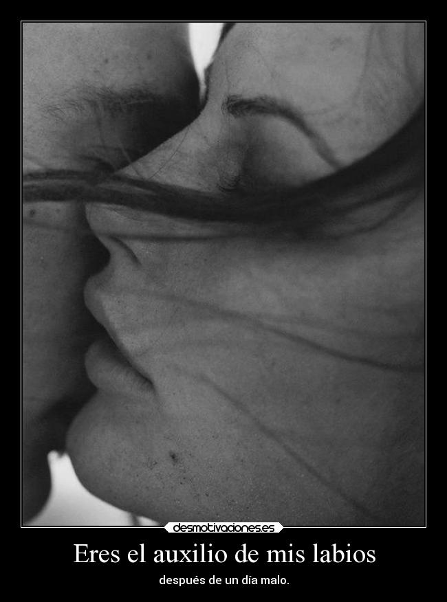 carteles besos amuchoskilometrosdenuestrosbesos diciembreytu desmotivaciones