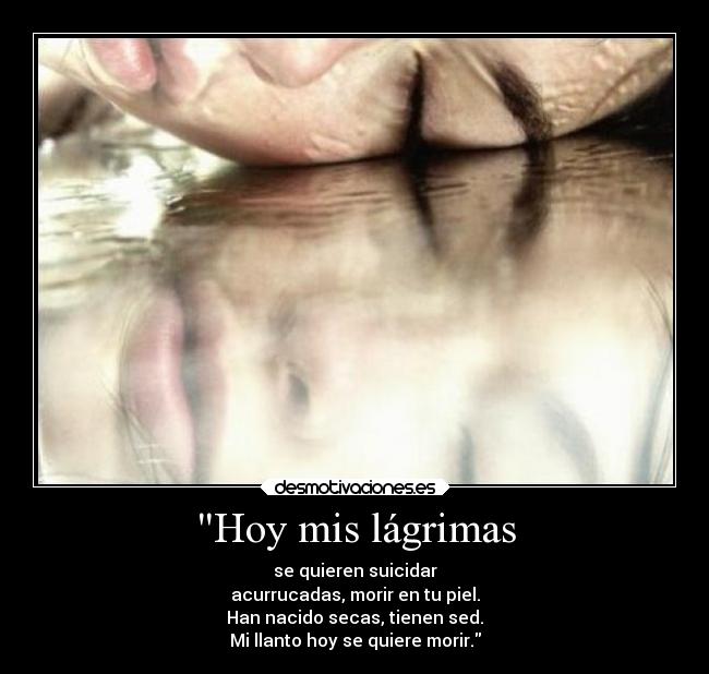 Hoy mis lágrimas - se quieren suicidar
acurrucadas, morir en tu piel.
Han nacido secas, tienen sed.
Mi llanto hoy se quiere morir.
