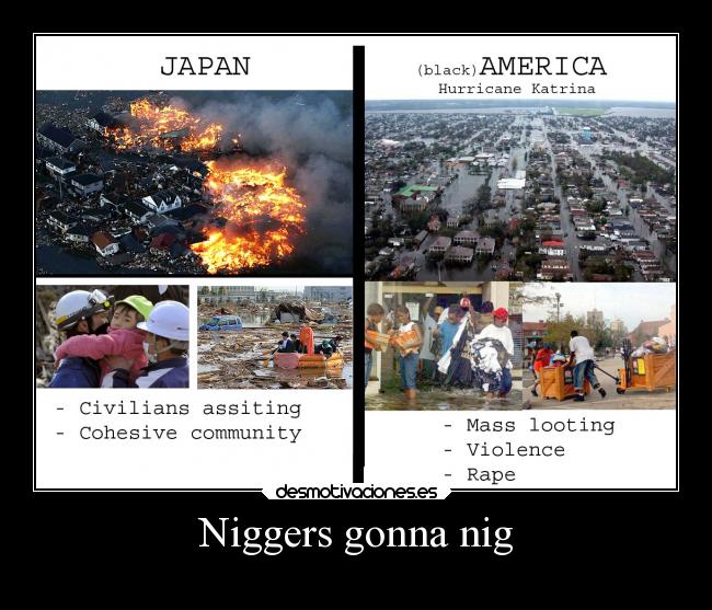 Niggers gonna nig - 