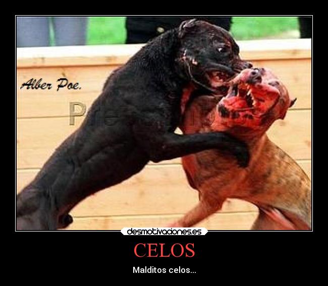 CELOS - 