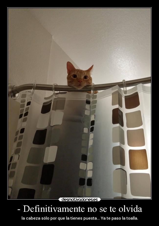 - Definitivamente no se te olvida -