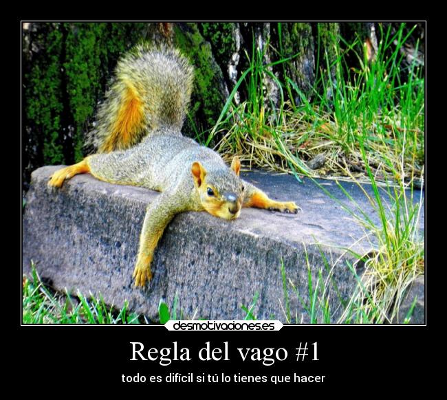 Regla del vago #1 - todo es difícil si tú lo tienes que hacer