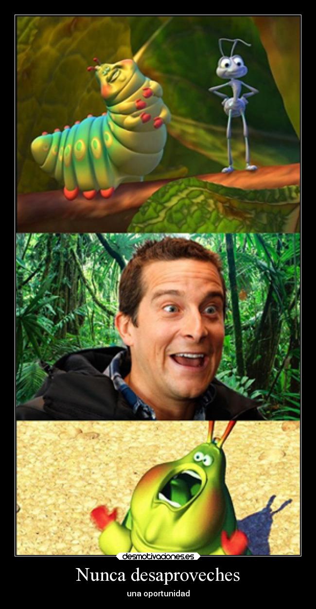 carteles cine bichos bear grills normalman drnormalman canibalismo pezones nata fimosis desmotivaciones