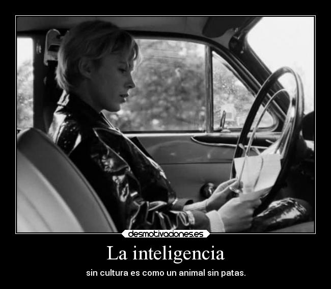 carteles cine persona frase fruto demi clasede falosofia jsjs ola que tal desmotivaciones