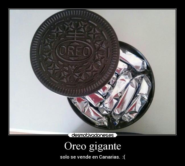 carteles comida desmotivaciones