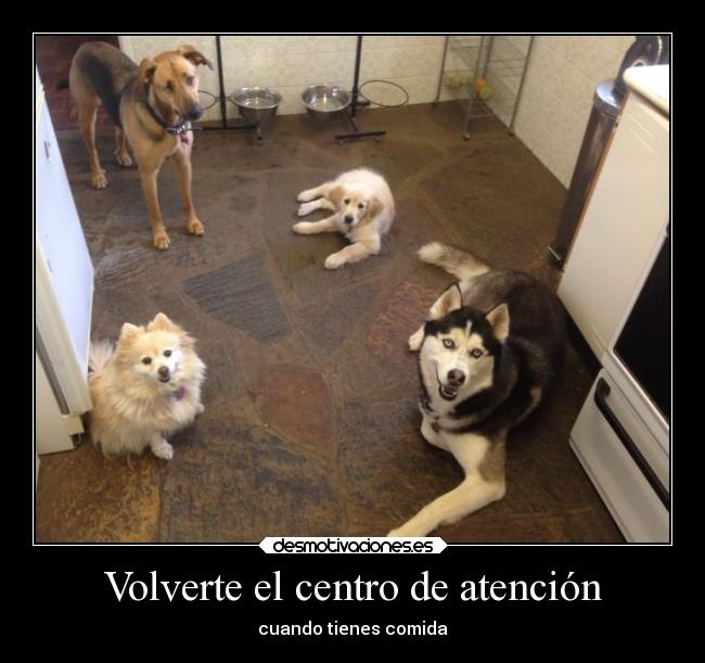 Volverte el centro de atención - 