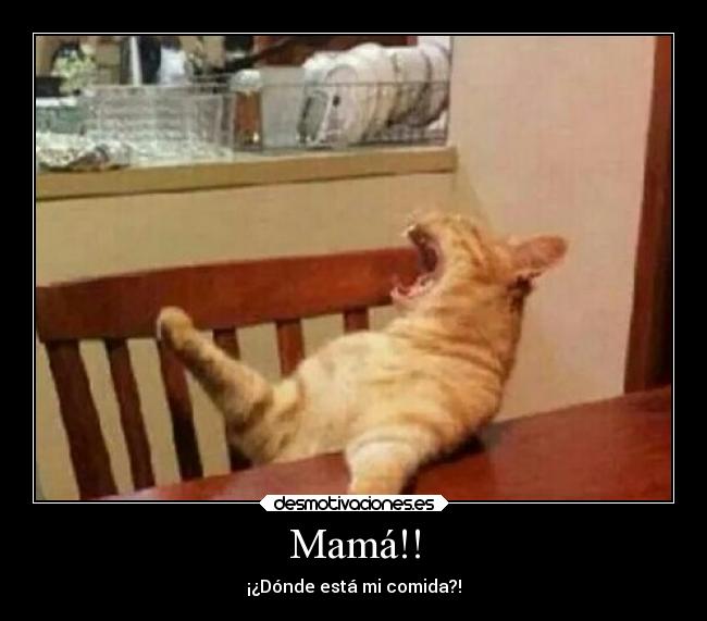 Mamá!! -
