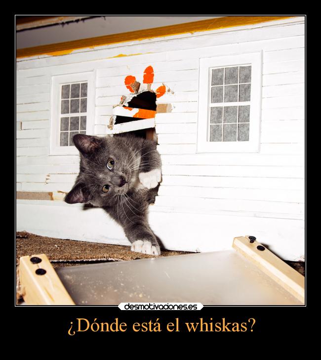 ¿Dónde está el whiskas? -