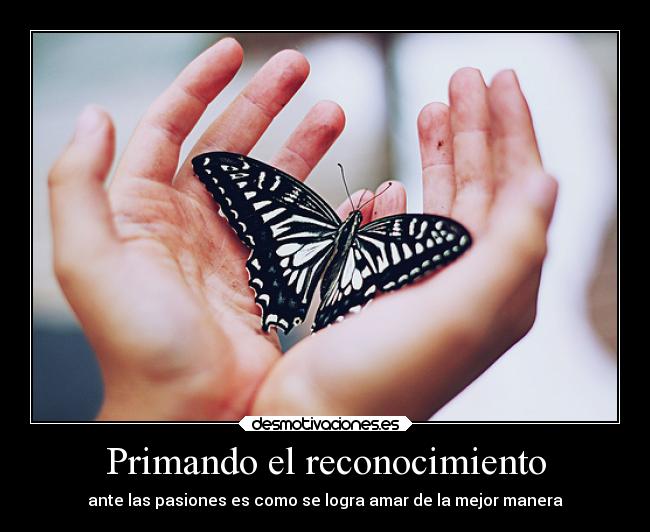 Primando el reconocimiento - ante las pasiones es como se logra amar de la mejor manera