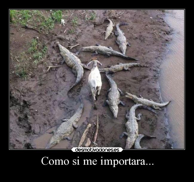 carteles confianza desmotivado15 desmotivaciones