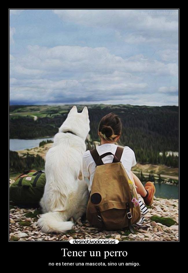 Tener un perro - 