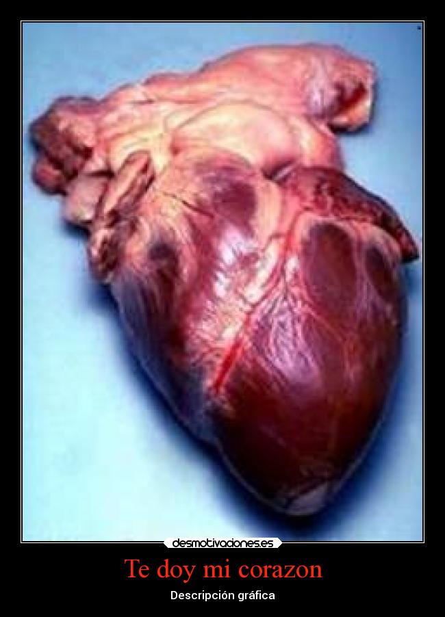 carteles corazon vida desmotivaciones