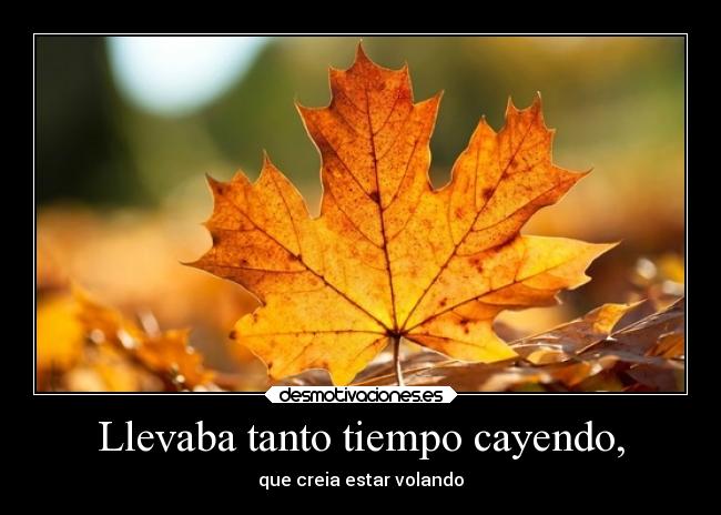 Llevaba tanto tiempo cayendo, - que creia estar volando