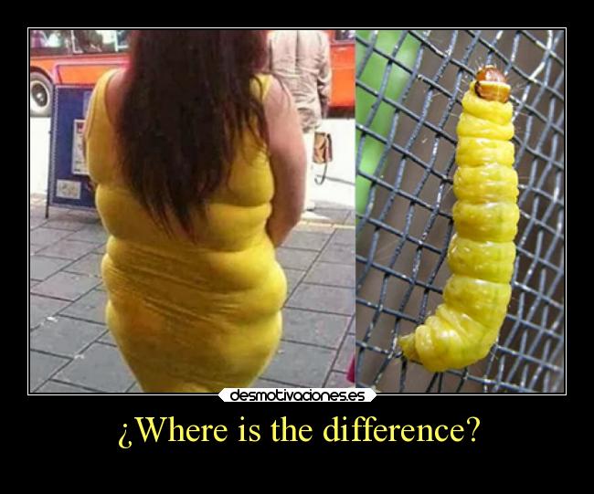 ¿Where is the difference? -