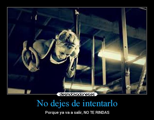 No dejes de intentarlo - 