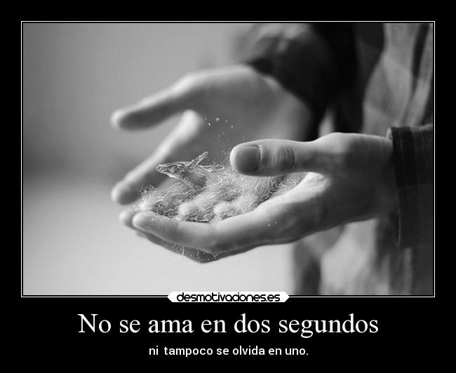 No se ama en dos segundos - ni  tampoco se olvida en uno.