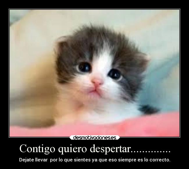 Contigo quiero despertar.............. - Dejate llevar por lo que sientes ya que eso siempre es lo correcto.