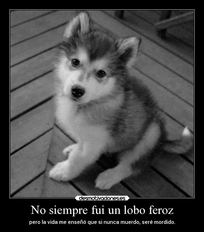 carteles desmotivaciones bartocanibal desmotivaciones