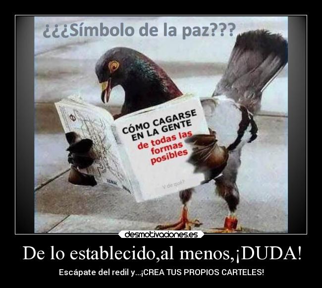 De lo establecido,al menos,¡DUDA! - Escápate del redil y...¡CREA TUS PROPIOS CARTELES!