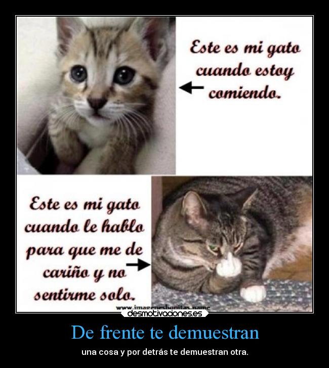 De frente te demuestran -