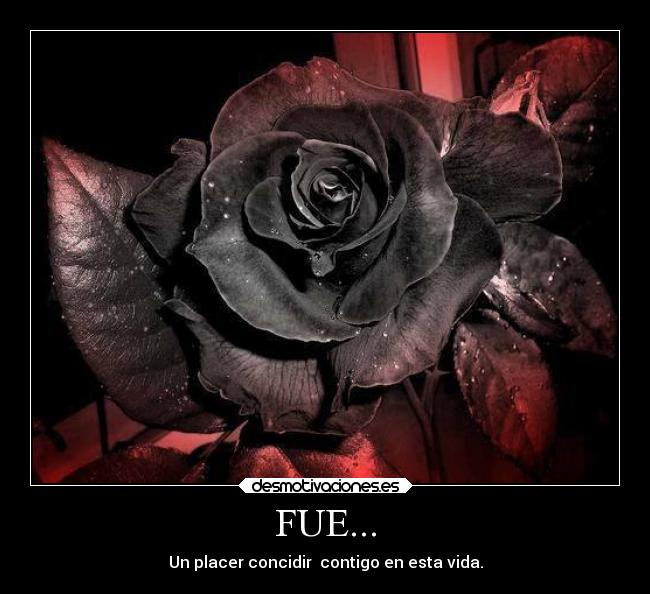 FUE... -