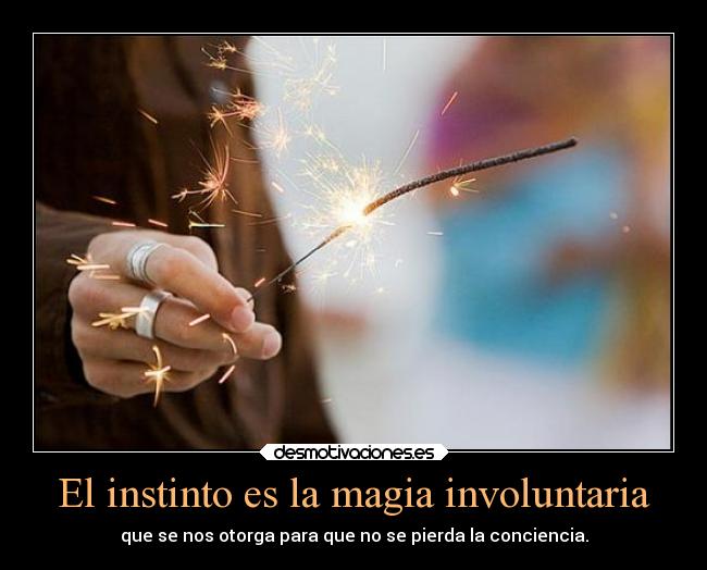 El instinto es la magia involuntaria -