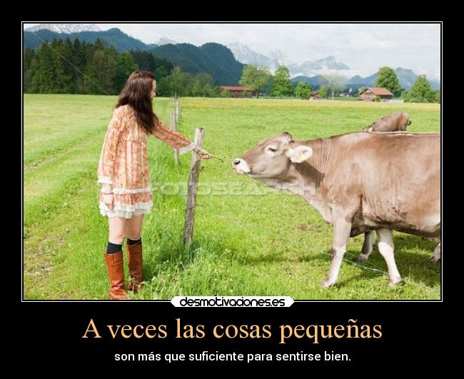 A veces las cosas pequeñas - son más que suficiente para sentirse bien.