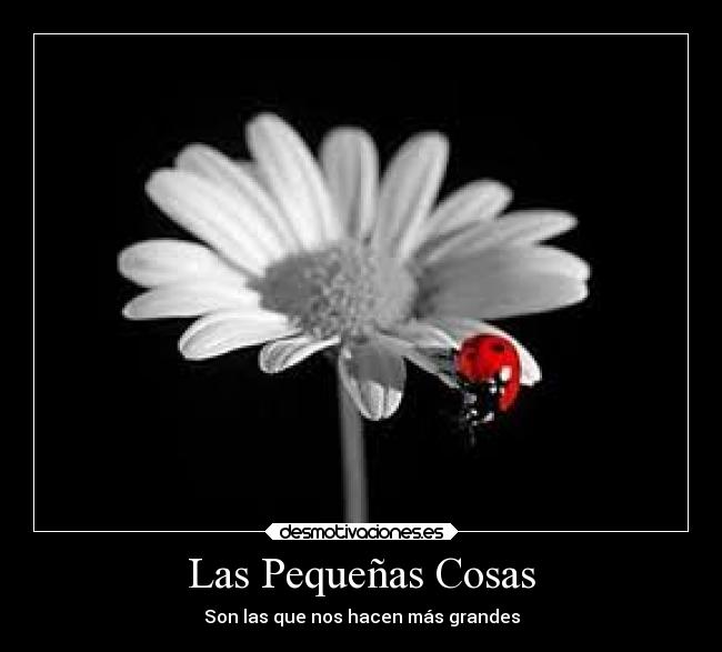 Las Pequeñas Cosas -