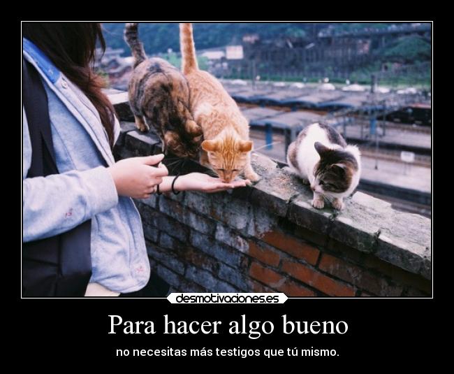 Para hacer algo bueno -