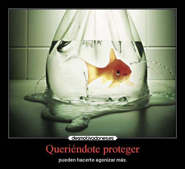 Queriéndote proteger - 