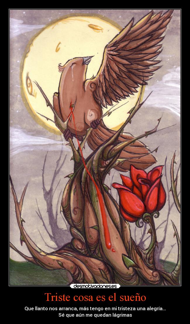 carteles desmotivaciones frases redgame gustavo adolfo becquer cancion silent hill angel thanatos rosa sueno desmotivaciones