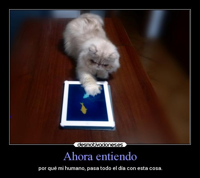 Ahora entiendo - por qué mi humano, pasa todo el día con esta cosa.