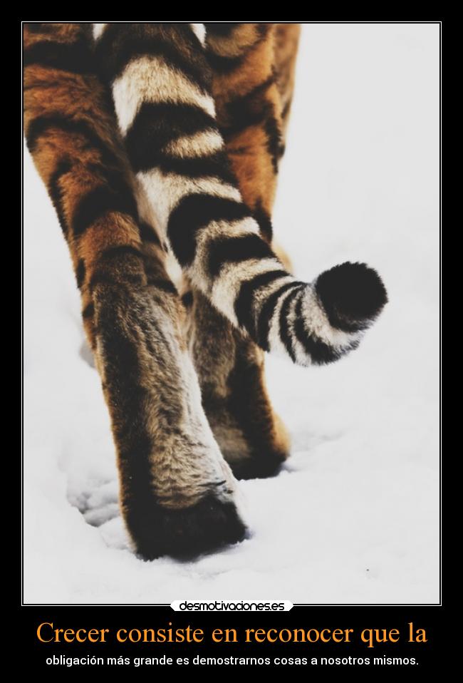 carteles desmotivaciones tigre crecer obligaciones teextranoanny teamoanny desmotivaciones