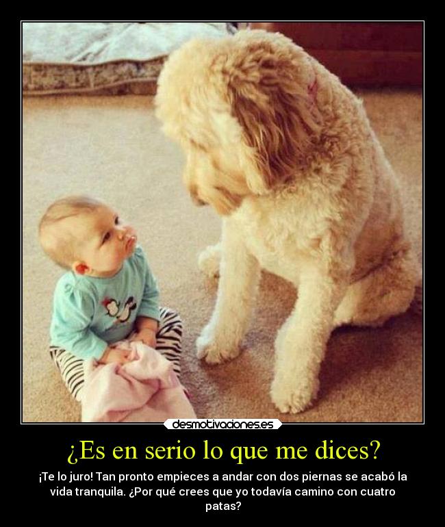 ¿Es en serio lo que me dices? - 