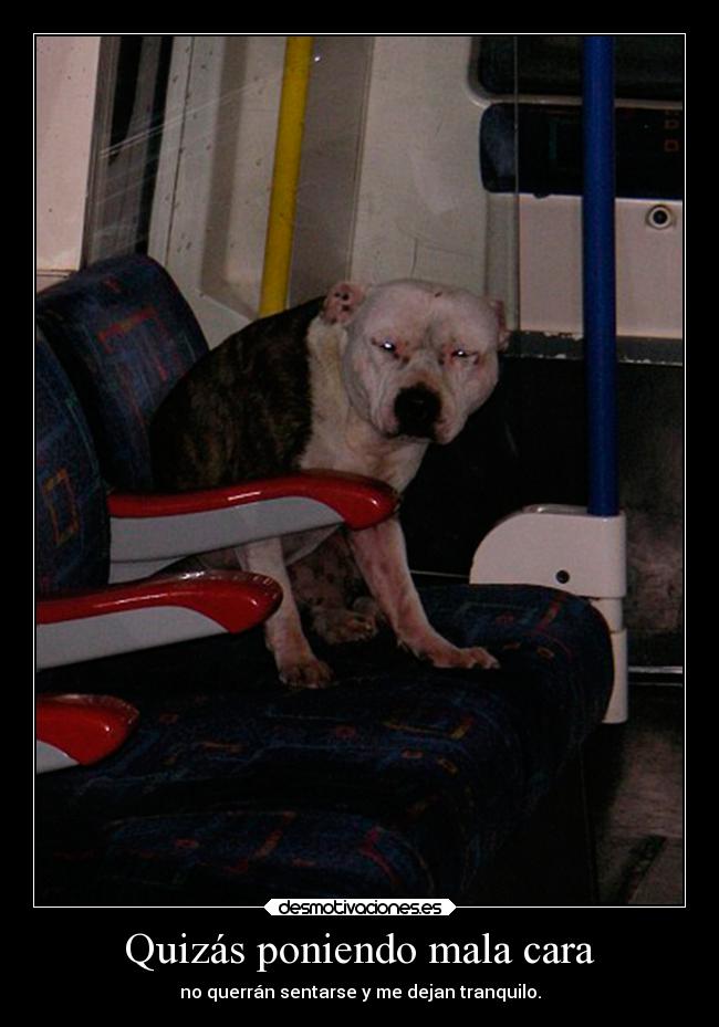 Quizás poniendo mala cara -