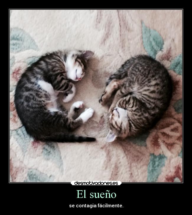 El sueño - se contagia fácilmente.
