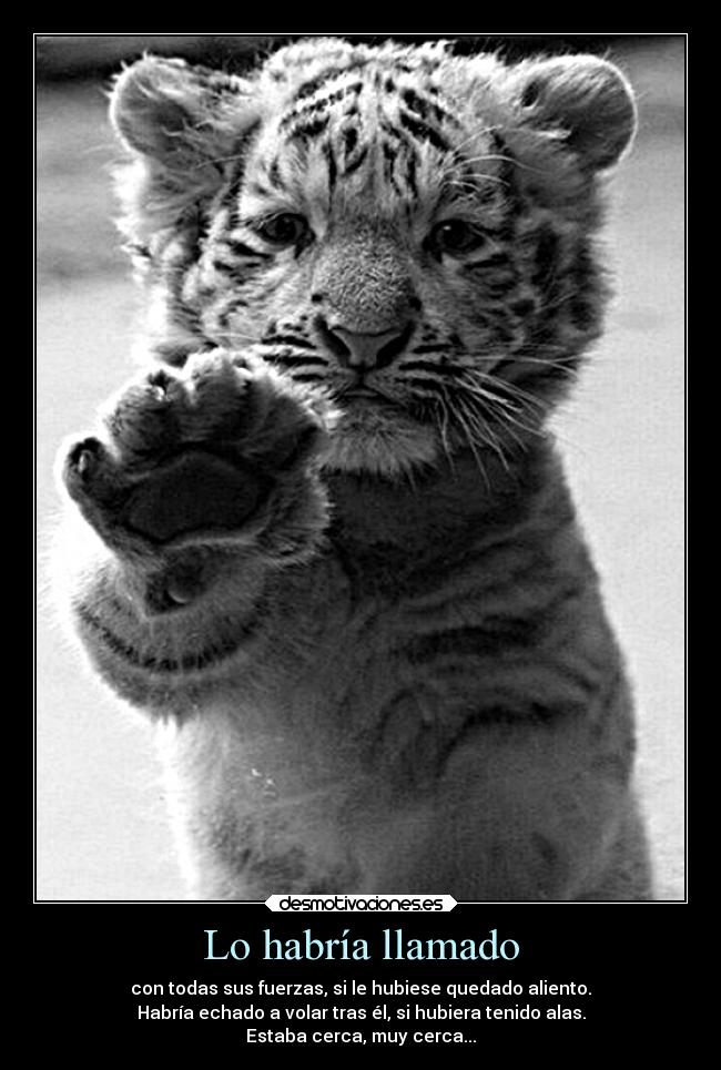 Lo habría llamado - con todas sus fuerzas, si le hubiese quedado aliento.
Habría echado a volar tras él, si hubiera tenido alas.
Estaba cerca, muy cerca...
