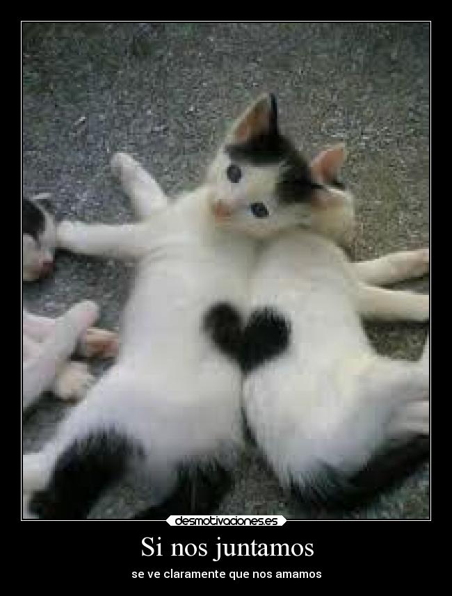 Si nos juntamos -