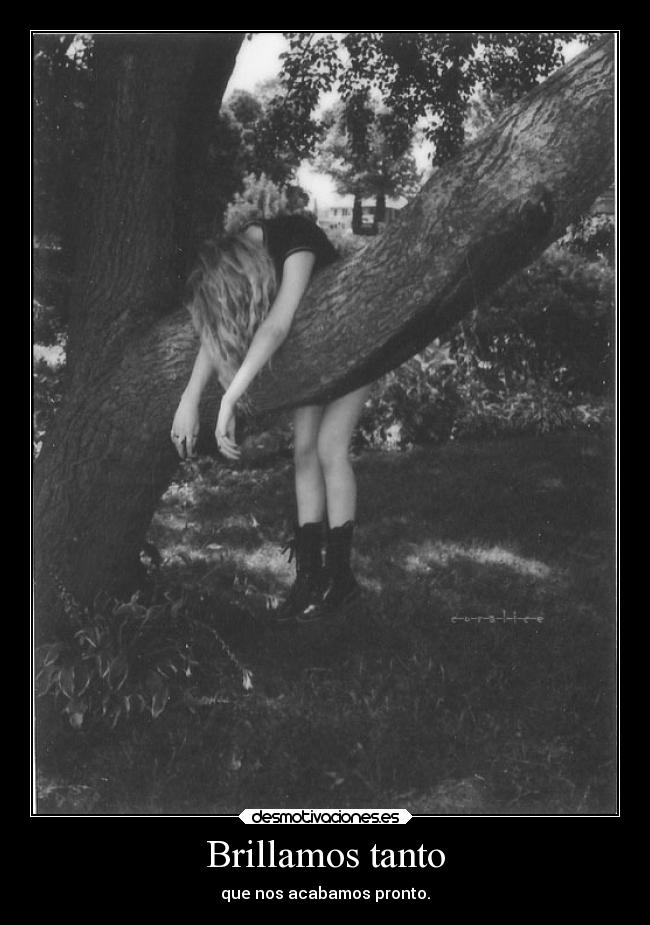 Brillamos tanto - 