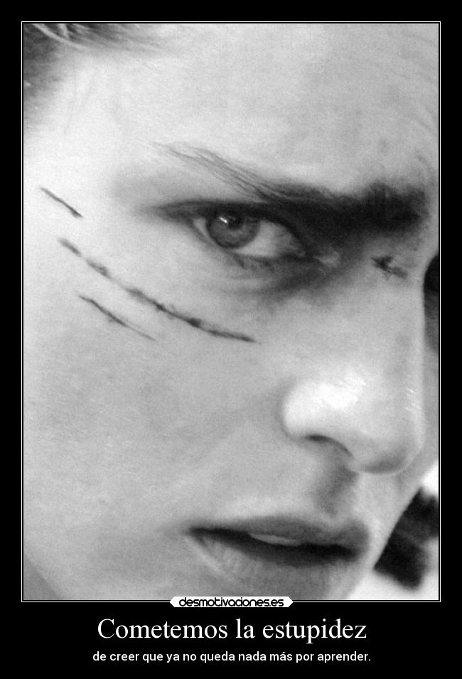 Cometemos la estupidez -