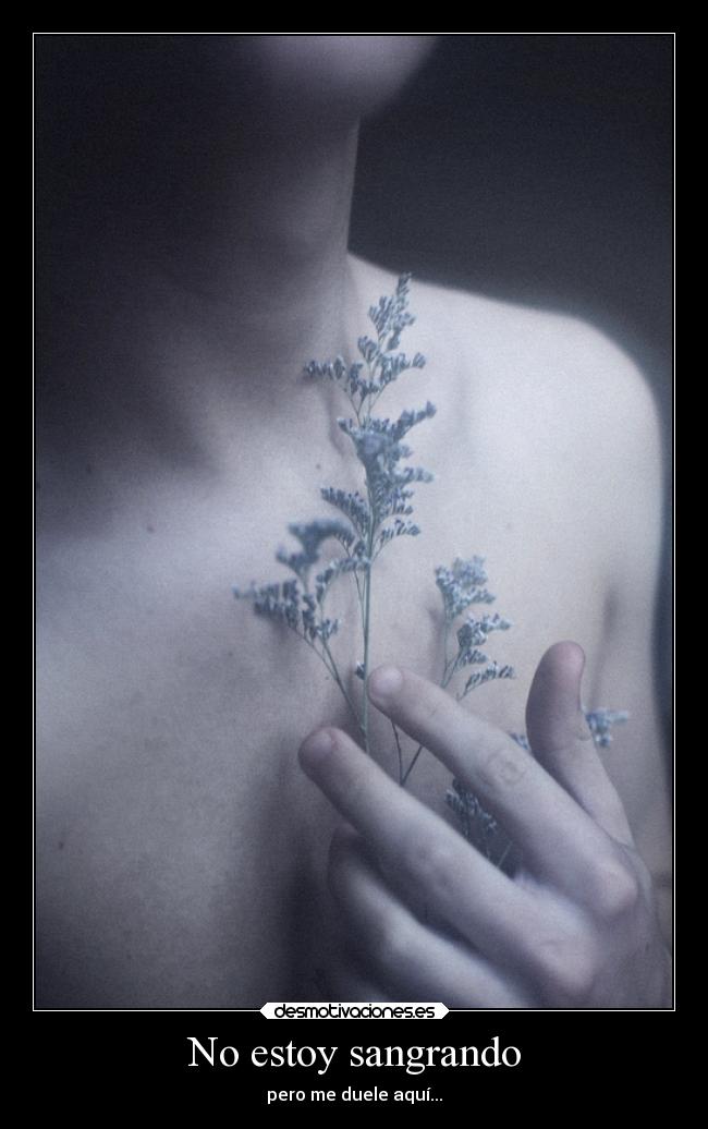 No estoy sangrando - 
