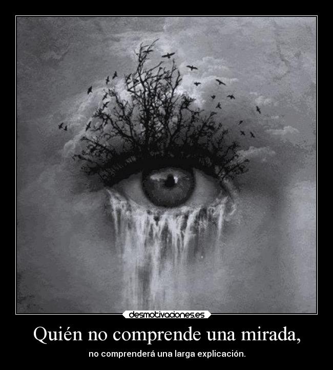 Quién no comprende una mirada, - 