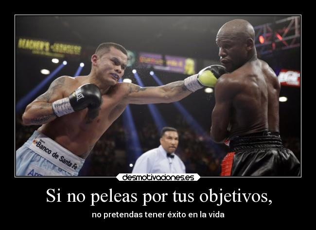 Si no peleas por tus objetivos, -